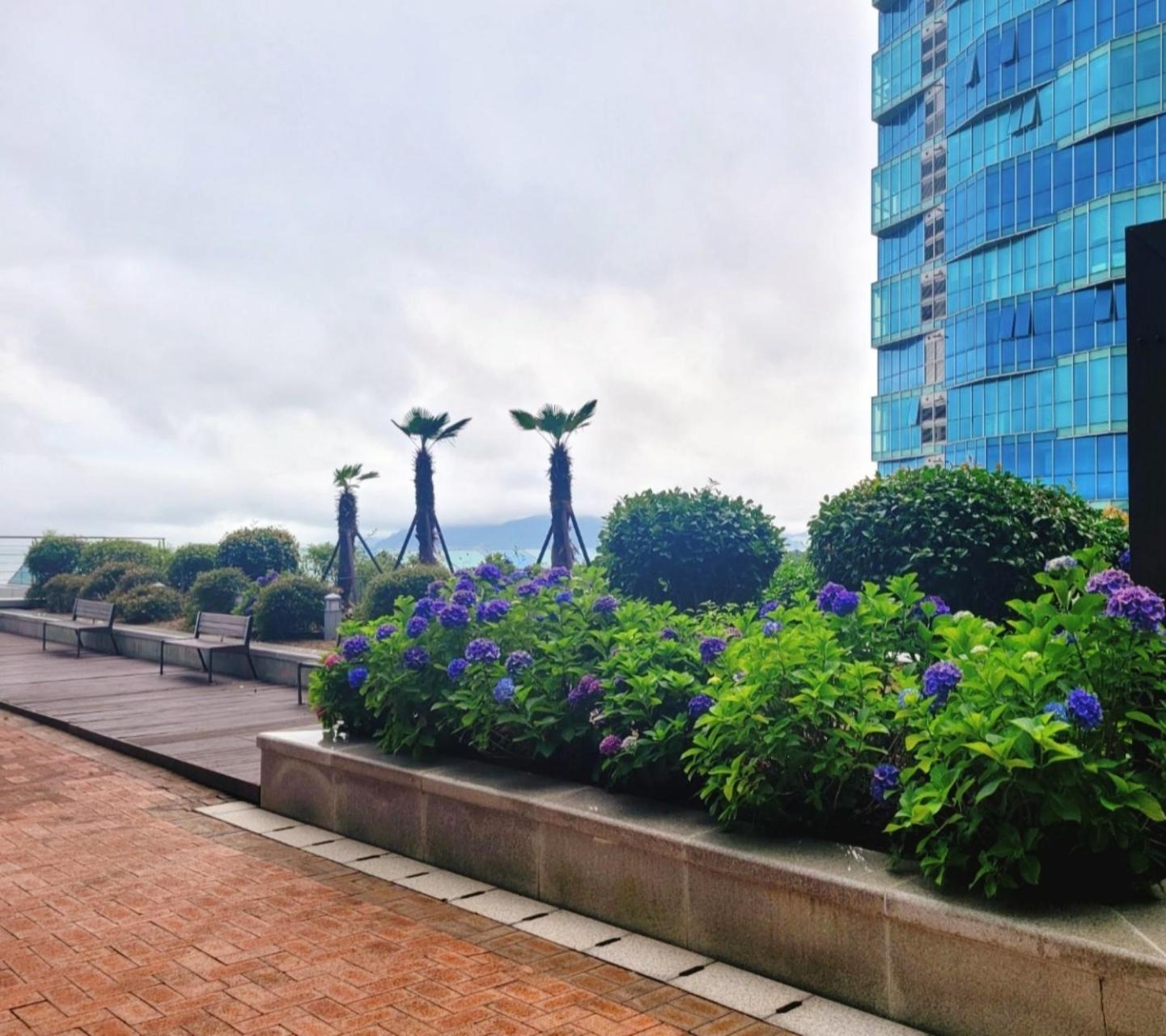 Pale De Cz Condo Busan Exterior photo